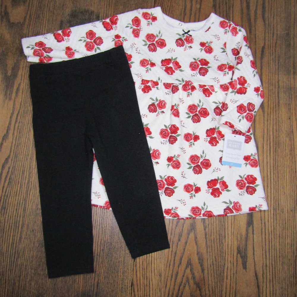 Hudson Baby girls 2 piece long sleeve rose print winter dress & leggings set 2T